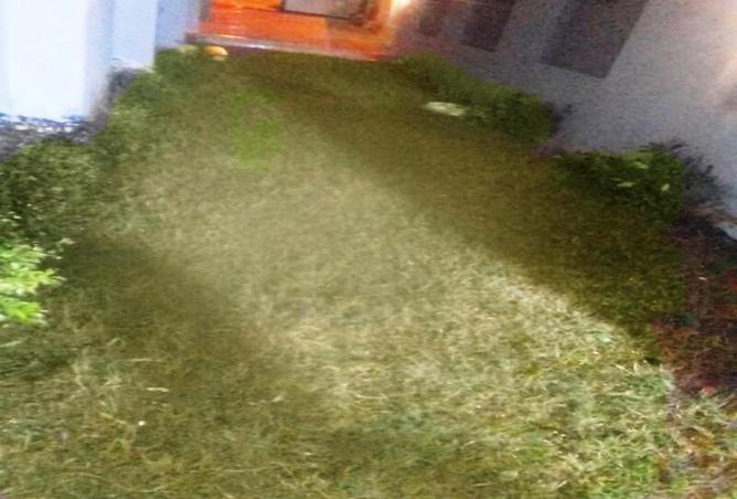 8648552 - Property Image 2