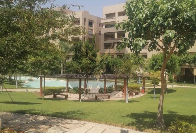 65157332 - Property Image 3