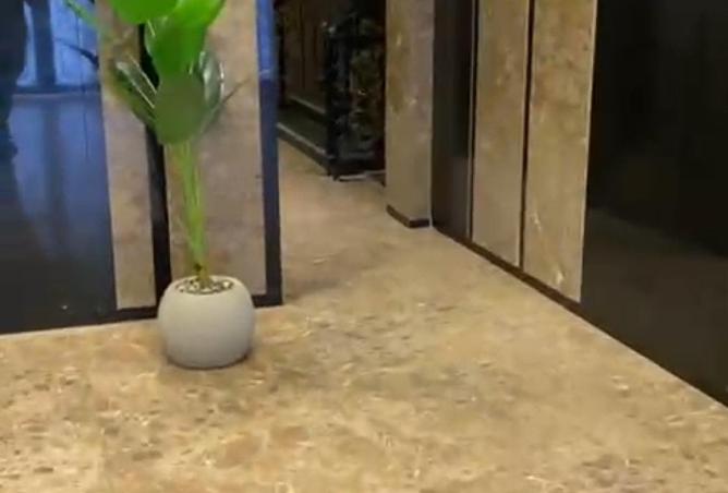 53225376 - Property Image 3