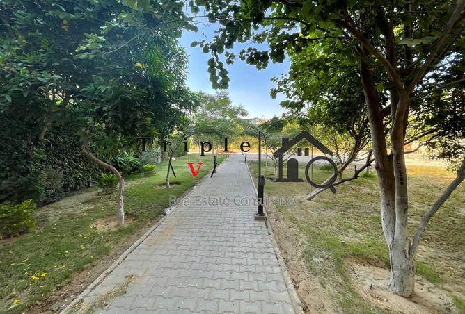 69311647 - صورة العقار 3