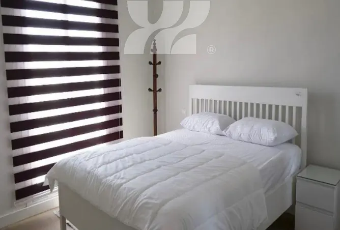 117016396 - Property Image 3