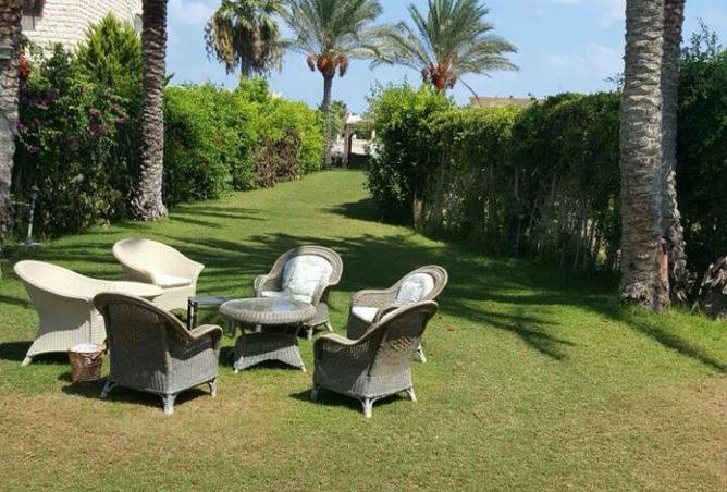 55246923 - صورة العقار 2