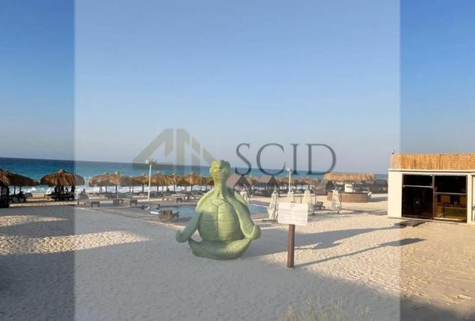 104601277 - Property Image 2
