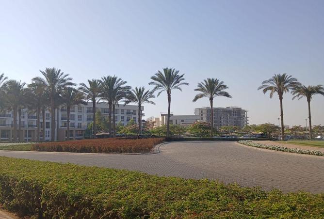 81042071 - Property Main Image