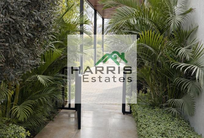 8641444 - Property Image 3