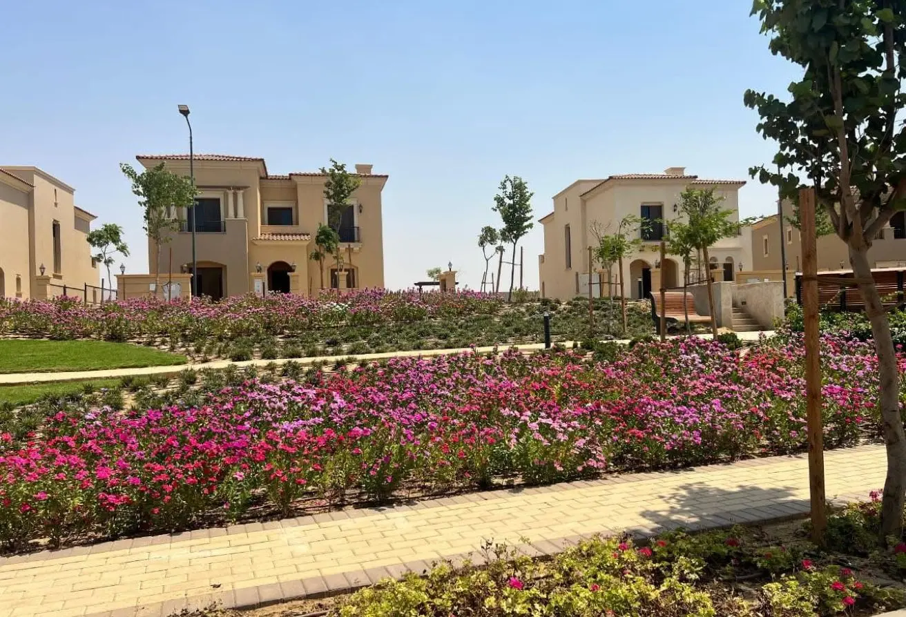 113260309 - الصورة الرئيسية للعقار