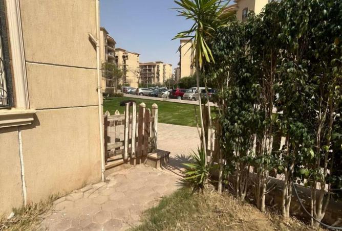 88117687 - Property Image 2