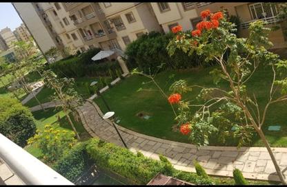 Apartment - 3 Bedrooms - 2 Bathrooms for rent in B6 - Madinaty - Cairo Apartment - 3 Bedrooms - 2 Bathrooms for rent in B6 - Madinaty - Cairo