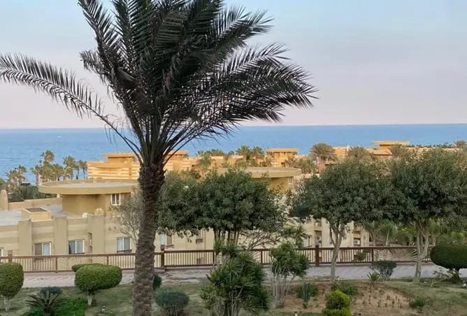 116490843 - صورة العقار 3