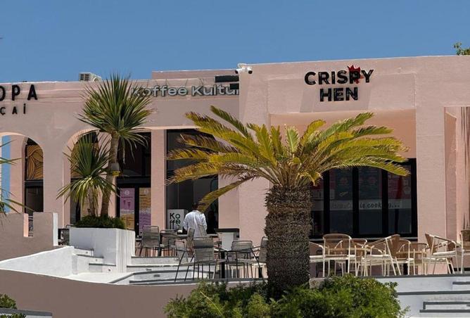 66172478 - صورة العقار 2