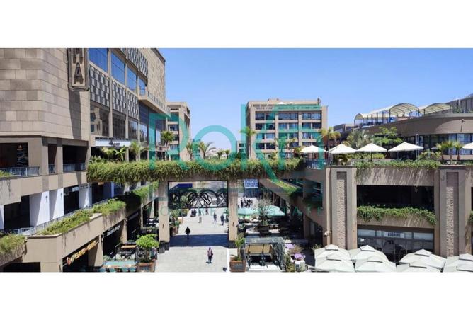 8540485 - Property Image 3