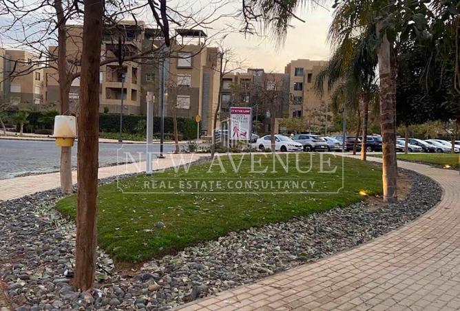 97148476 - Property Image 3