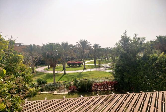 55749035 - صورة العقار 3