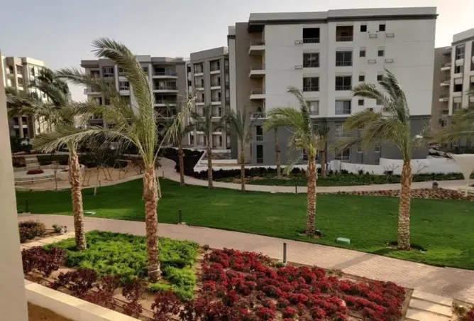 118531546 - Property Image 2