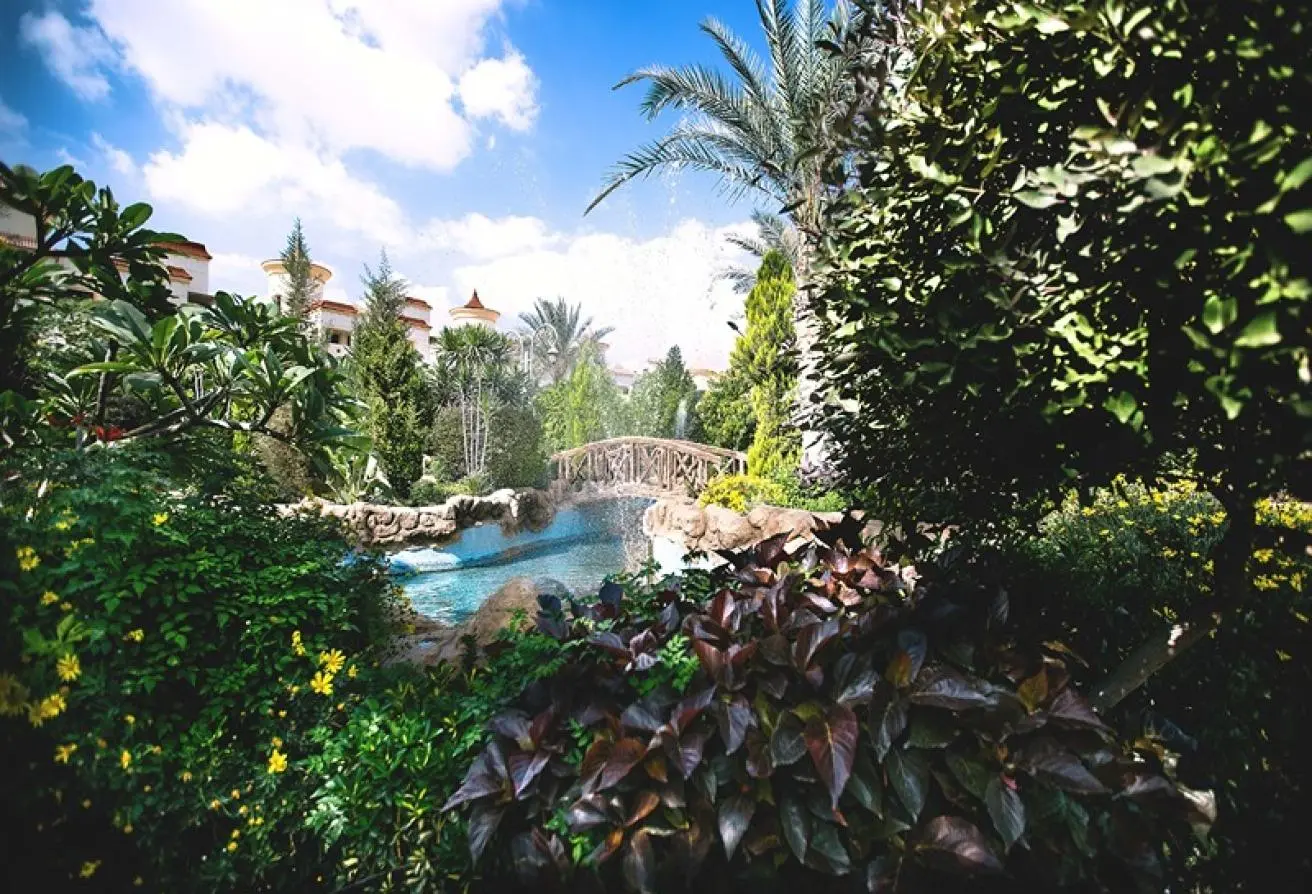 84782550 - Property Main Image