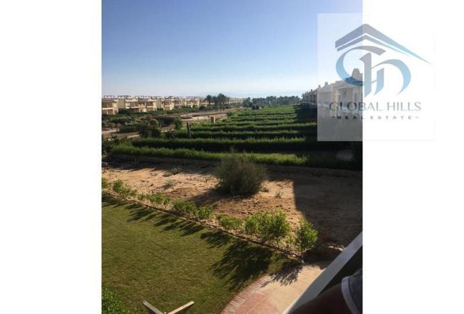 65162465 - Property Image 3