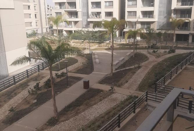 99118385 - Property Image 3