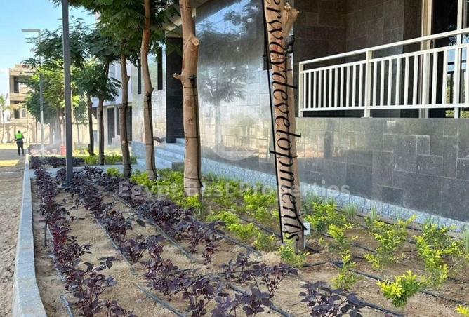 8543966 - Property Image 2