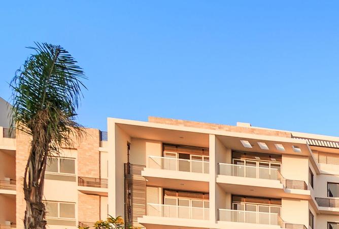 87516804 - Property Image 3