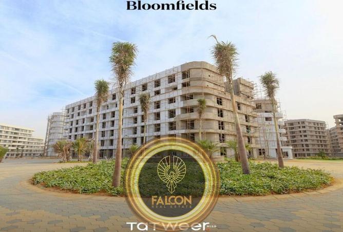 8705359 - Property Image 3