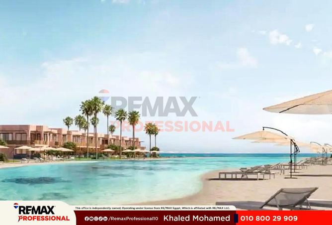81305922 - صورة العقار 3