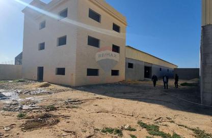 Factory - Studio - 1 for sale in New Borg Al Arab City   Marsa Matrouh Road - Borg El Arab - Borg El Arab City - Alexandria