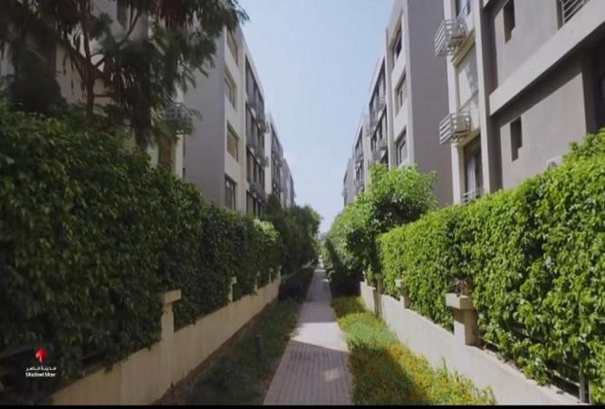 8456499 - Property Image 3