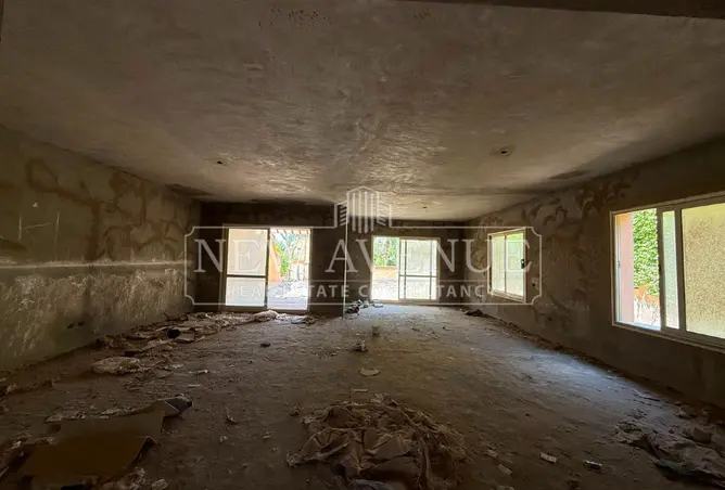 118803544 - Property Image 3