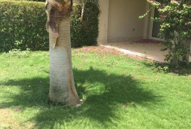 58739267 - صورة العقار 2