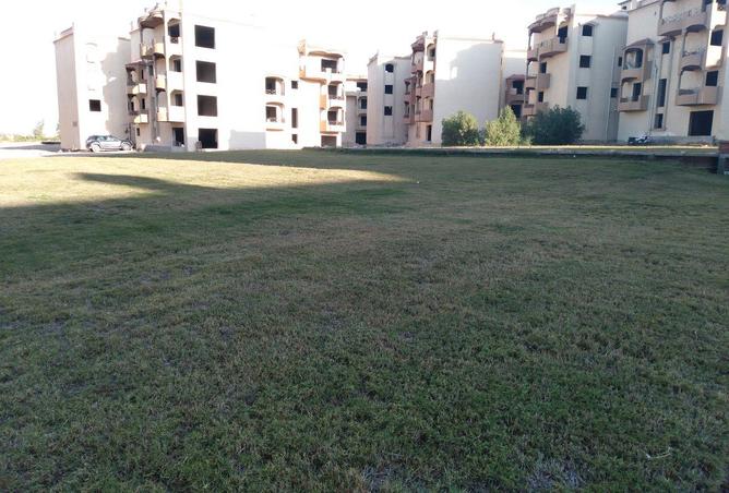 84513316 - صورة العقار 3