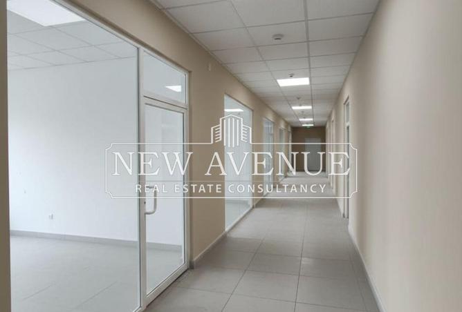 66953248 - Property Image 3