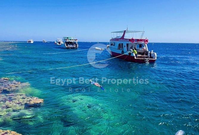 67736285 - صورة العقار 3