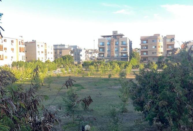 57743387 - صورة العقار 2