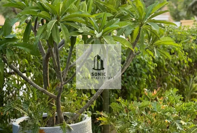 120358723 - Property Image 2