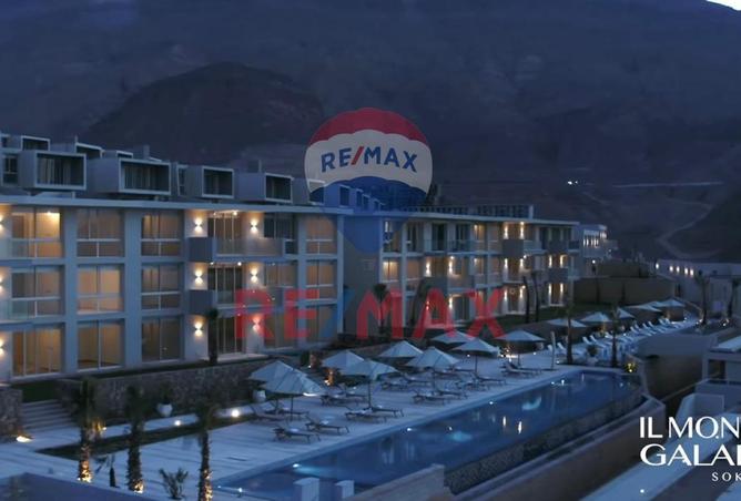 52446835 - Property Image 3