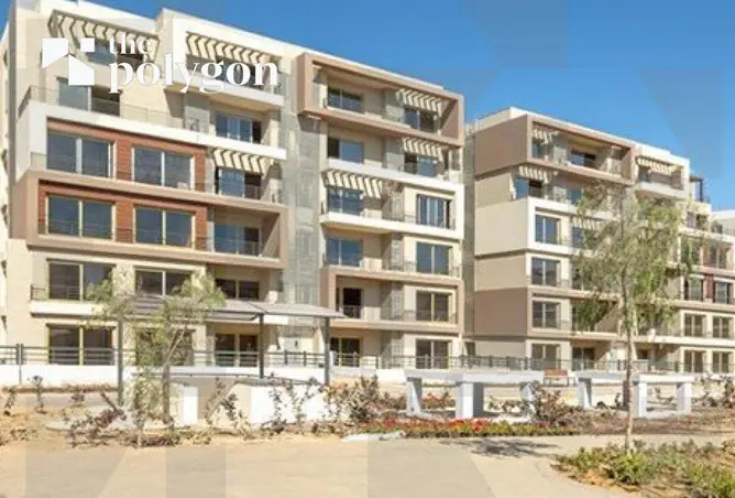 116487505 - Property Image 3