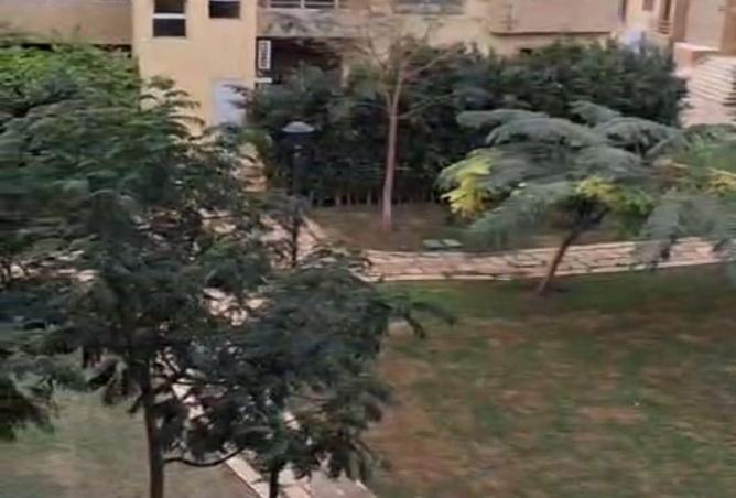 8592670 - صورة العقار 2