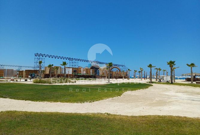 105172161 - صورة العقار 3