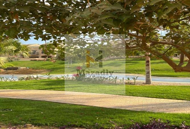 65662659 - صورة العقار 2