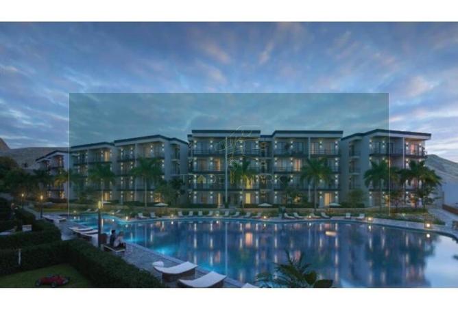 66950882 - Property Image 2