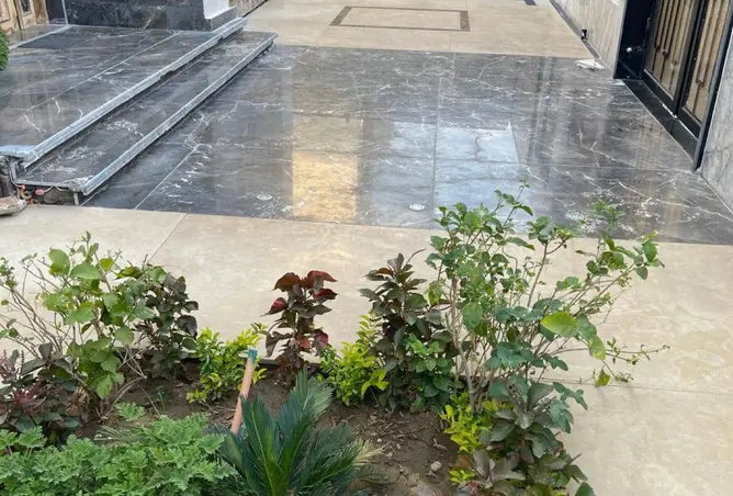 113260037 - صورة العقار 2