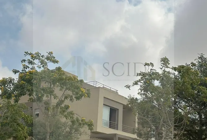 116494511 - Property Image 3
