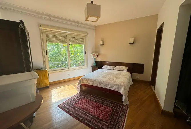113256407 - Property Image 3