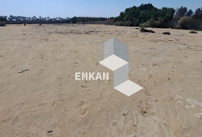 104326876 - صورة العقار 3