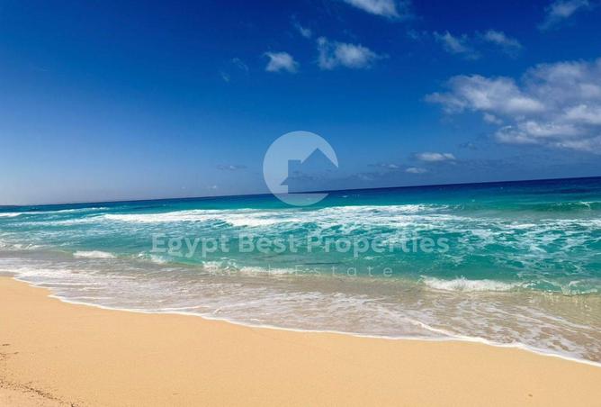 97721195 - Property Image 3