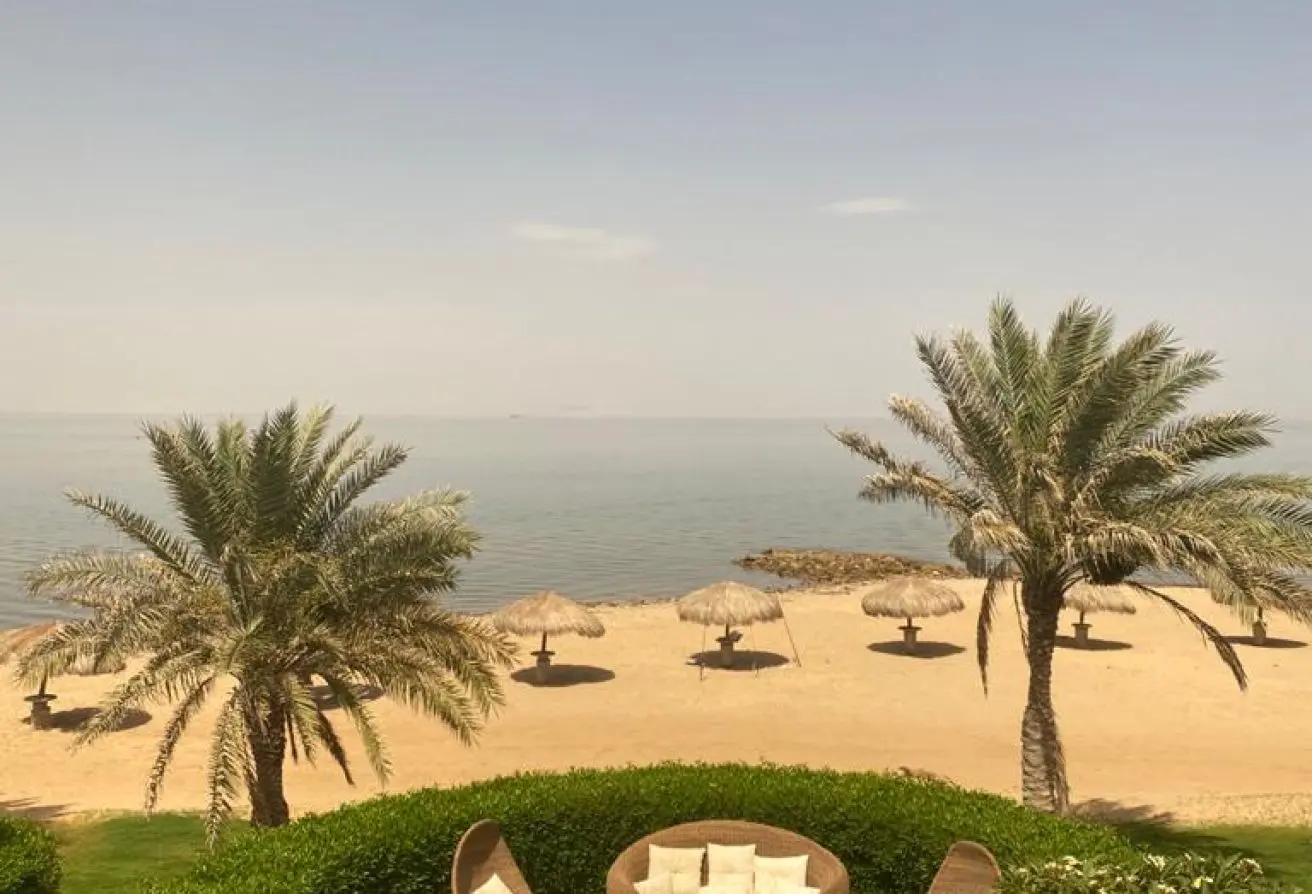 115180553 - الصورة الرئيسية للعقار