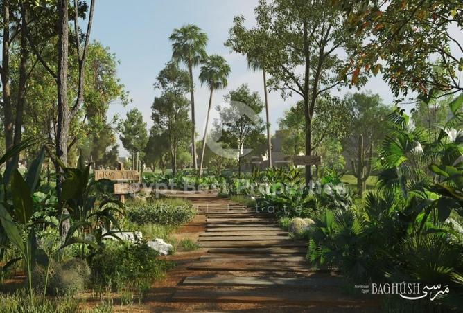 8600098 - Property Image 3