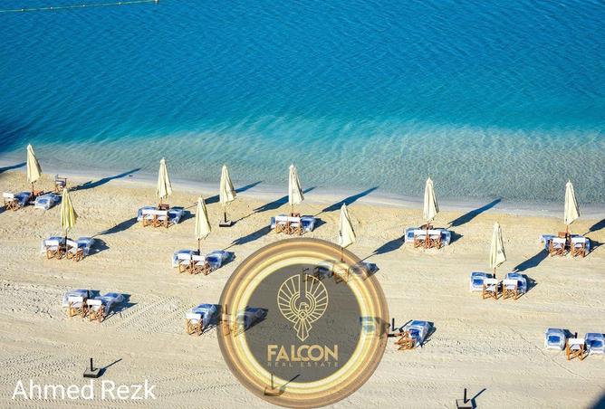 56990217 - Property Image 3