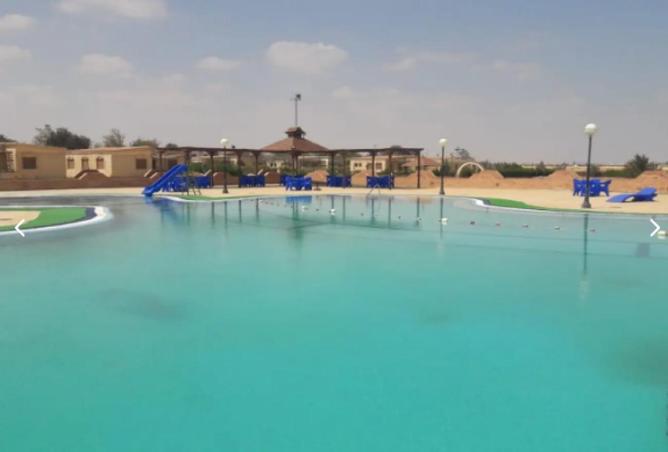 81841779 - صورة العقار 3