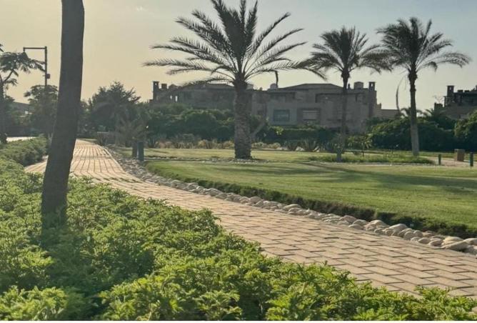 68519753 - Property Image 2